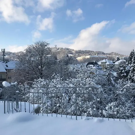 Stadtoase Mit Traumhaftem Ausblick * リンツ