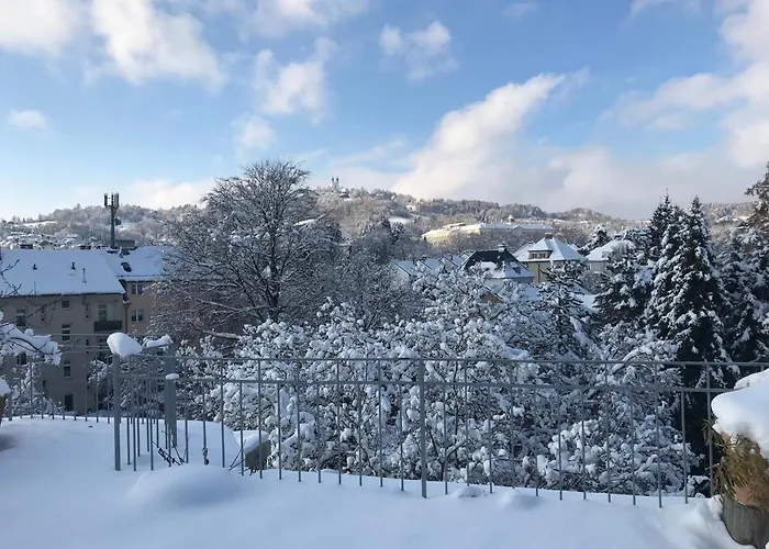 Stadtoase Mit Traumhaftem Ausblick * Linz